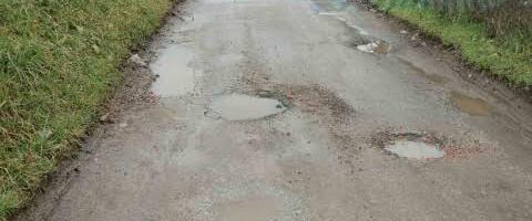 Pokret Juga Srbije: Vlast peva u Vladičinom Hanu dok građani gaze kroz blato