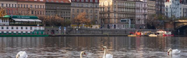 U kojim evropskim gradovima turisti mogu najbolje da se odmore tokom boravka?