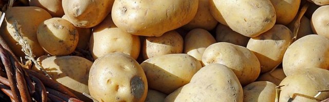Ministarstvo reagovalo na vest da Novosađani pomažu domaćim proizvođačima krompira koje uništava uvoz