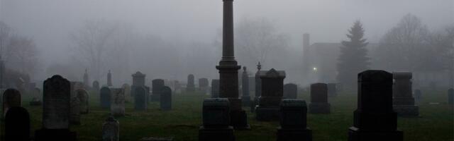 Najstarije porodično stablo je otkriveno