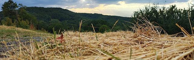 Sunčano uz lokalni razvoj oblačnosti