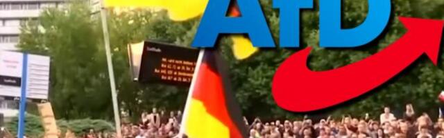 SKANDAL U NEMAČKOJ: AfD-ovac Poljake nazvao &quot;Afroamerikancima Evrope&quot; (FOTO)