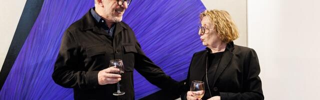 U galeriji Novembar otvorena samostalna izložba Marije Dragojlović „Nepomične stvari“