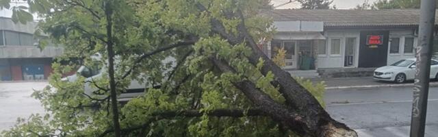 Srbiji preti OLUJNI VETAR: Očekuju se udari od 80 km na sat!