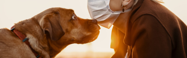 Evo kako navići pse na ljude koji svakodnevno nose maske