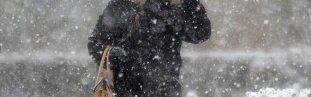 SNEG I LED OKOVALI MOSKVU! DIVLJE ŽIVOTINJE HARAJU GRADOM: Medved napao čoveka