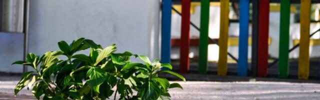 Почело пријављивање за упис деце у вртиће на Порталу еУправа