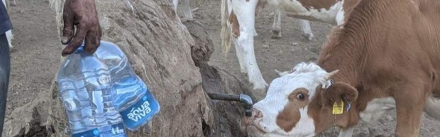 Donatori nude novac, iz javnih preduzeća kažu da nemaju cisterne sa vodom za životinje na Suvoj planini