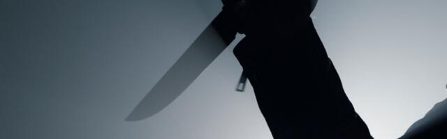 Majka četvoro dece napala komšiju nožem i palicom: Detalji zločina kod Aleksandrovca
