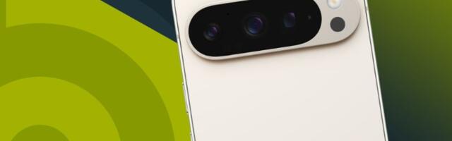 Zaboravite na Live Translate: Google sada koristi Pixel telefone da razgovara s delfinima