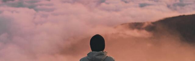 Mindfulness i emocionalna inteligencija na poslu