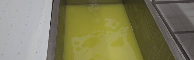 Surutka – lek za sve (VIDEO)