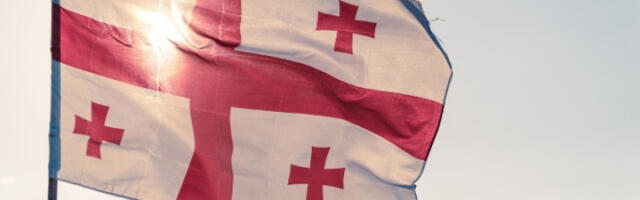 Опозициони грузијски лидер покушао да запали зграду судске канцеларије