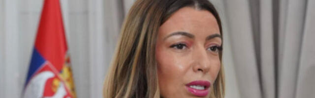 Месаровић: Вучића нису сломили, па неће ни Маргетић својим лажима