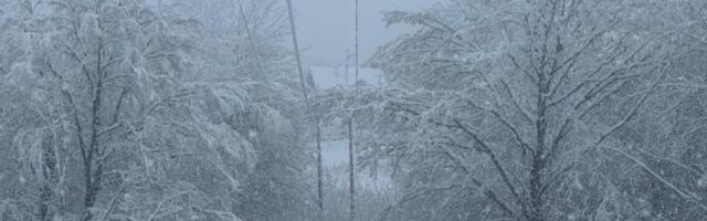 Oglasila se Elektromreža Srbije: Osposobljen dalekovod u Ivanjici