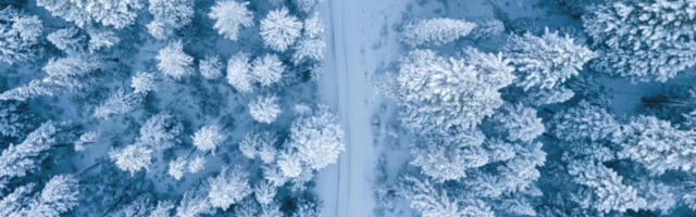 Русија: туристи нестали пре четири дана, спасиоци чешљају терен