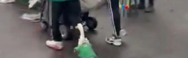 VIDEO: Guska u dresu Meksika postala hit na otvaranju Mundijala