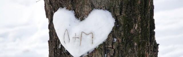 Šta je dendroterapija i zašto je i poznati praktikuju?