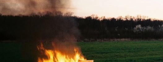 Izložba “Honey, I’m home” Luke Cvetkovića u Galeriji Doma omladine