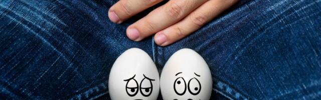 Da li vas udarac u testise može ubiti?