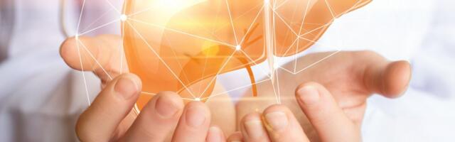 Zašto je ovo najopasnija stvar za jetru: Ona ćuti dok strada, reagujete se kad je već kasno