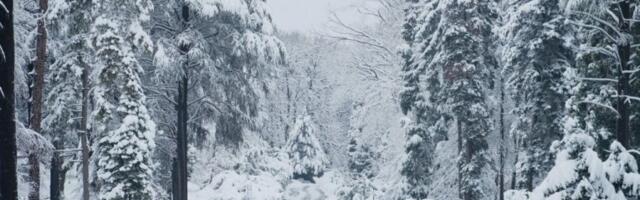 POGLAŠENO VANREDNO STANJE U OVOM SRPSKOM GRADU! Ekipe na terenu!