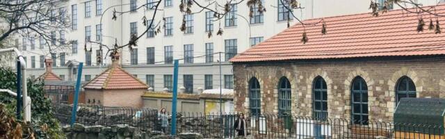 Uginuo omiljeni stanovnik Beo Zoo vrta: Ovo su svi detalji (FOTO)