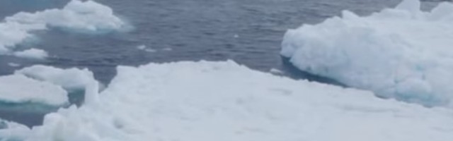 Porast temperature na Arktiku ugrožava budućnost čovečanstva!