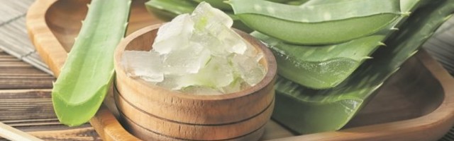 KOŽA VOLI ALOJU VERU! Ublažite MNOGOBROJNE probleme, od OPEKOTINA do AKNI!