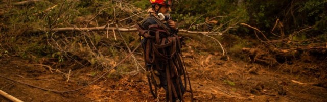 Gori cela šuma, a grupa Srba ulazi u vatru i kao roboti smiruju stihiju - grčki novinari ne mogu da prestanu da hvale naše vatrogasce