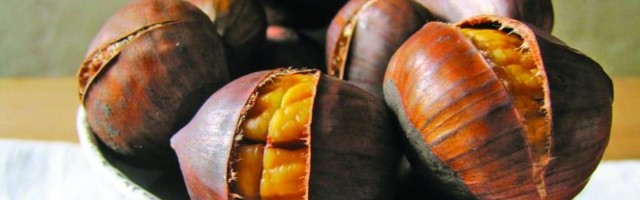 KESTEN JE VITAMINSKA BOMBA! Poboljšava rad mozga, štiti imuni sistem, snižava holesterol, sprečava infarkt i karcinom!