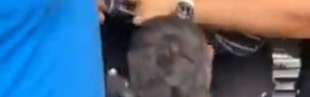 Napeto u Bloku 45: "Beli" hapse građane koji pokušavaju da obustave radove na Savskom nasipu (VIDEO)