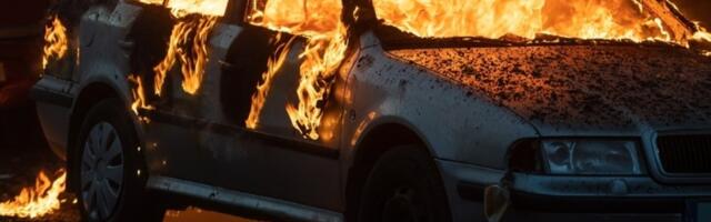 DRAMA na Čukarici: Zapaljeno više automobila (VIDEO/FOTO)