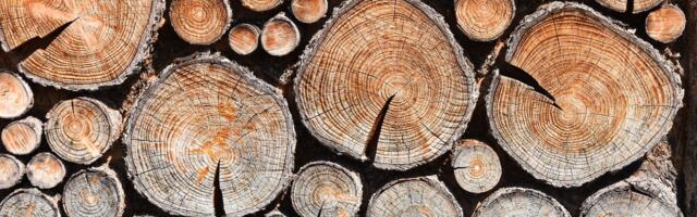 Rusko “blago” krišom stiže u EU