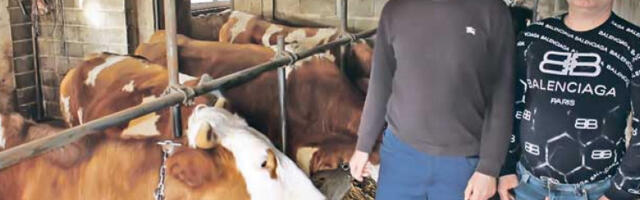 Браћа којој је у Деветацима боље него у Европској унији