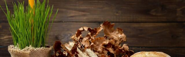 Badnji dan: Simbolika badnjaka i pratećih običaja