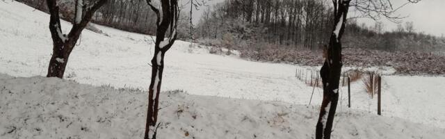 Temperatura u Srbiji pada, stiže i sneg, evo i kada: Ovaj deo Srbije će se zabeleti kao usred januara