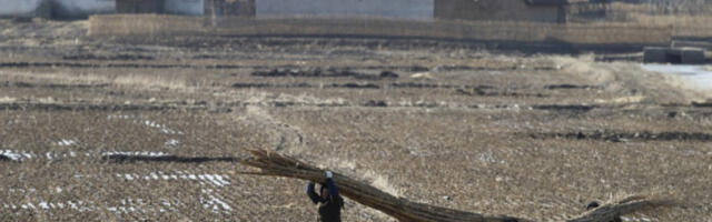 Северну Кореју погодила „неуобичајено јака” суша