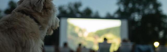 Prateći program 13. Bašta Festa: Od novih filmskih ideja do žurki pored Drine