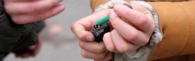 PET SEKUNDI ZADOVOLJSTVA NEKOJ ŽIVOTINJI MOŽE DA ZNAČI ŽIVOT! Znate li da zbog bacanja petardi možete u zatvor? Evo i na koliko!