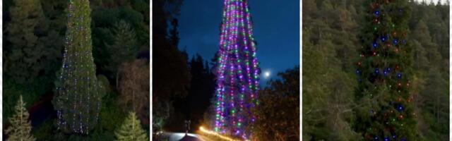 POGLEDAJTE KAKO JE OKIĆENA NAJVIŠA JELKA NA SVETU Ispunila sve kriterijume za Ginisa, pa dekoratere stavila na muke: Zamislite da neka svetiljka na njoj ne radi