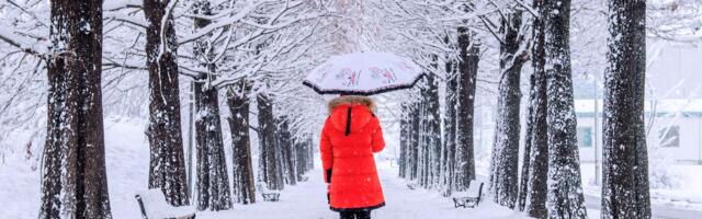 Spremite se: Ivan Ristić je predvideo ovaj ledeni talas u Srbiji, a sada najavljuje i novi nalet zime