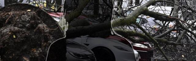 VODITELJKA OBELODANILA UZNEMIRUJUĆE SNIMKE NEVREMENA: Automobil totalno uništen, drveće sve demoliralo!