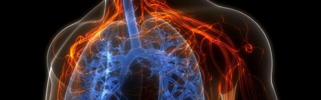 Simulacija pokazala šta se dešava u vašim plućima kada pušite i vejpujete: Već posle minut je sve problematično