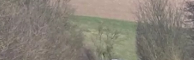 Fenomen kao sa druge planete: Stotine ovaca na polju formirale su misteriozni oblik i tako zurile u jednu tačku