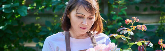 Problemi sa ružama i kako ih rešiti