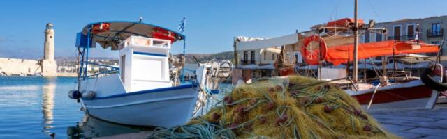 Jezivo i zabrinjavajuće: Hrvatski ribari ulovili ribu sa naduvenim stomakom, kad su joj otvorili utrobu dočekalo ih je neprijatno iznenađenje!