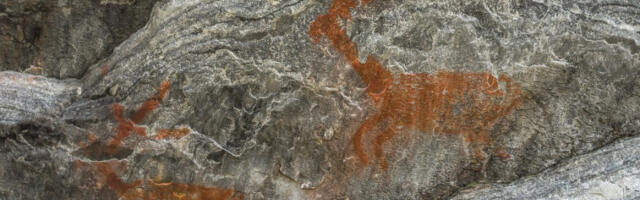 Пећински цртежи из доба палеолита стари 36.000 година