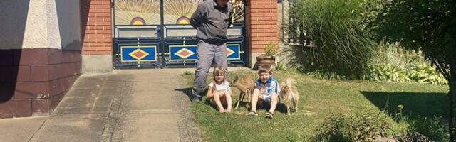 Gosti kada dođu prvo to zagledaju u vašem dvorištu, a ništa ne kažu: Šta da proverite pre nego se osramotite