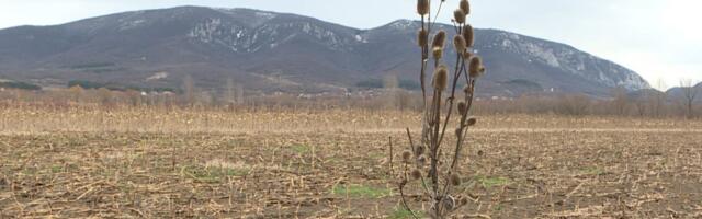 Meštani Homolja protiv rudnika: Ostaćemo bez vode, ugroziće Mlavu, zemlju, banju